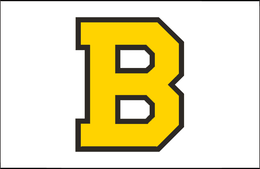Boston Bruins 1940-1948 Jersey Logo fabric transfer